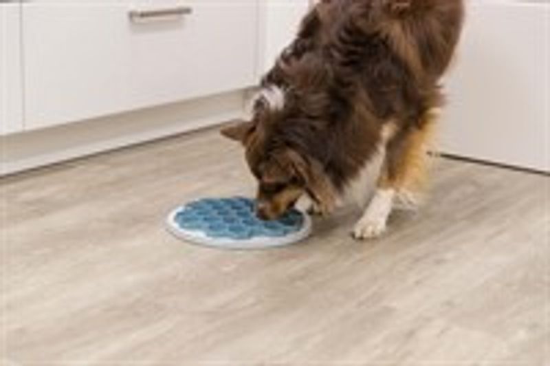 Slow Feeder Trixie