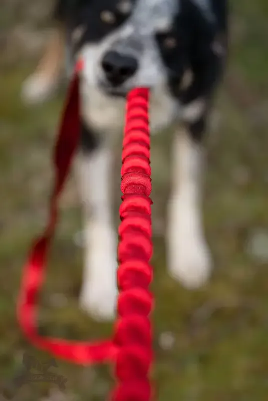 Elastiskt handtag 130 cm