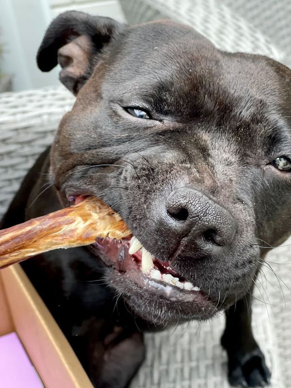 Kjøttstang Kylling og Biff 5pk