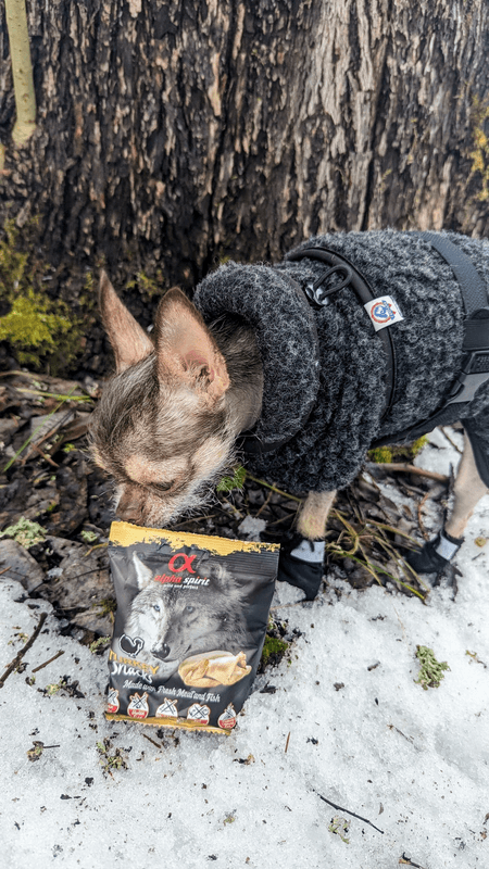 AlphaSpirit Turkey Snack 50g