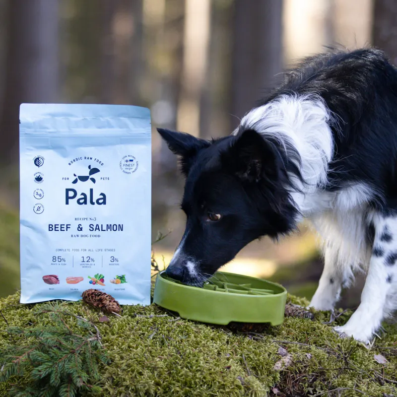 Pala Recipe #3 - Beef & salmon - 1kg