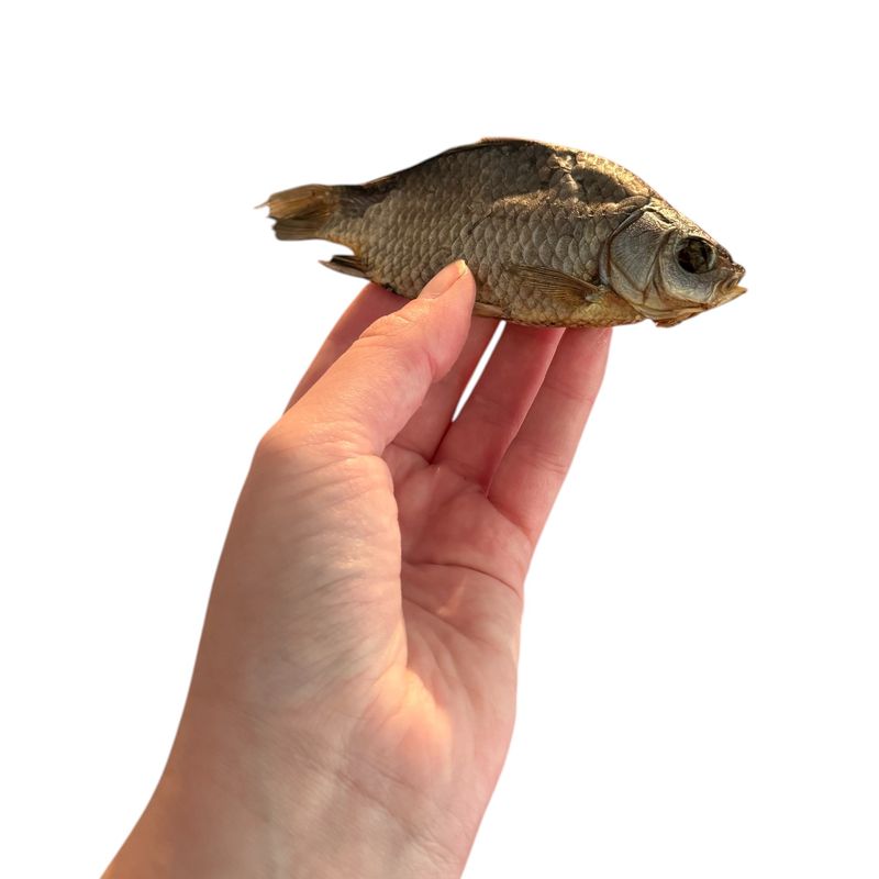 Karpe 250g