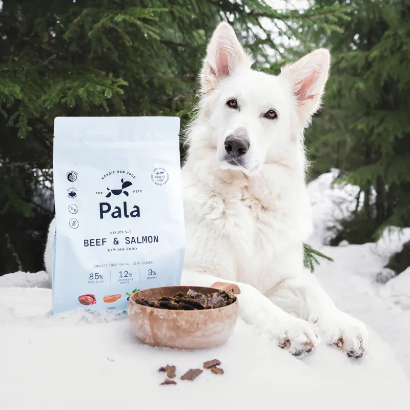 Pala Recipe #3 - Beef & salmon - 1kg