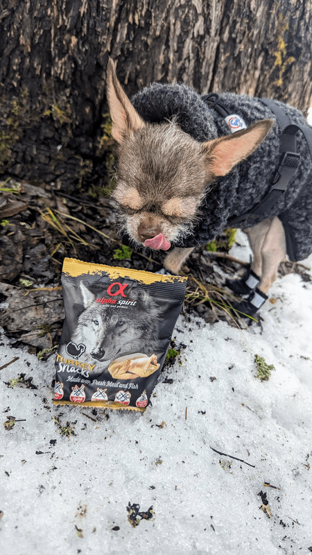 AlphaSpirit Turkey Snack 50g